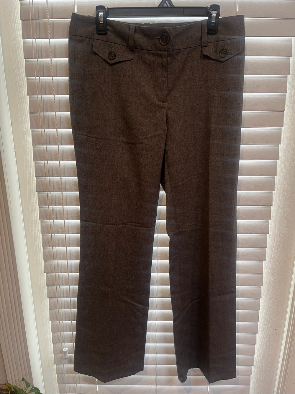 Ann Taylor Brown Straight-Leg Dress Trousers